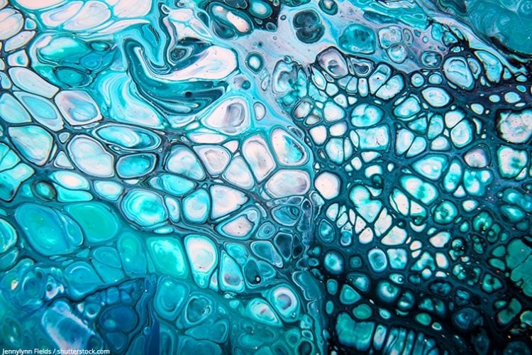 Methode Acrylique Pouring en Francais Guide pour Pouring Acrylique