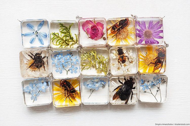 Preserving Flowers in Resin How to Cast Fresh Flowers in Resin