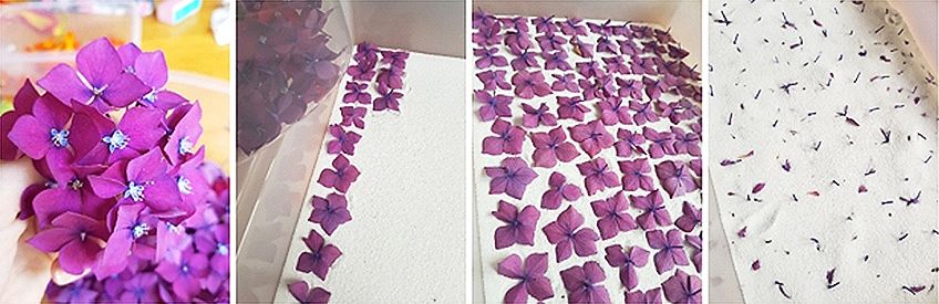 How to Dry Flowers for Resin Flowers