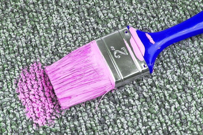 How to Get Acrylic Paint out of Carpet – Remove Paint from Carpet Easily