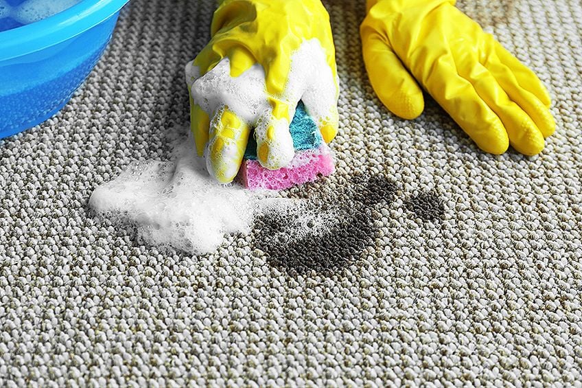 How to Remove Acrylic Paint from Carpet with Soap and Water