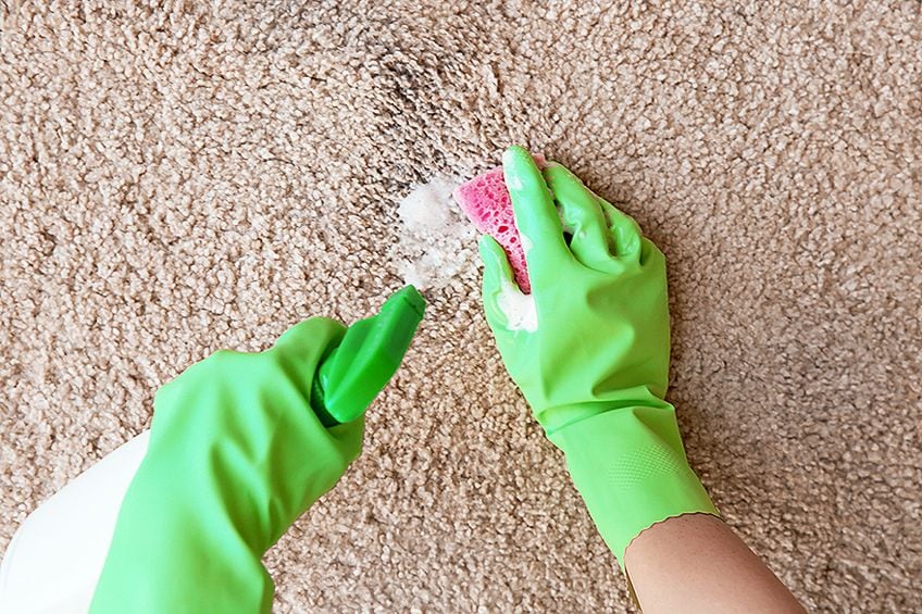 Remove Paint from Carpet