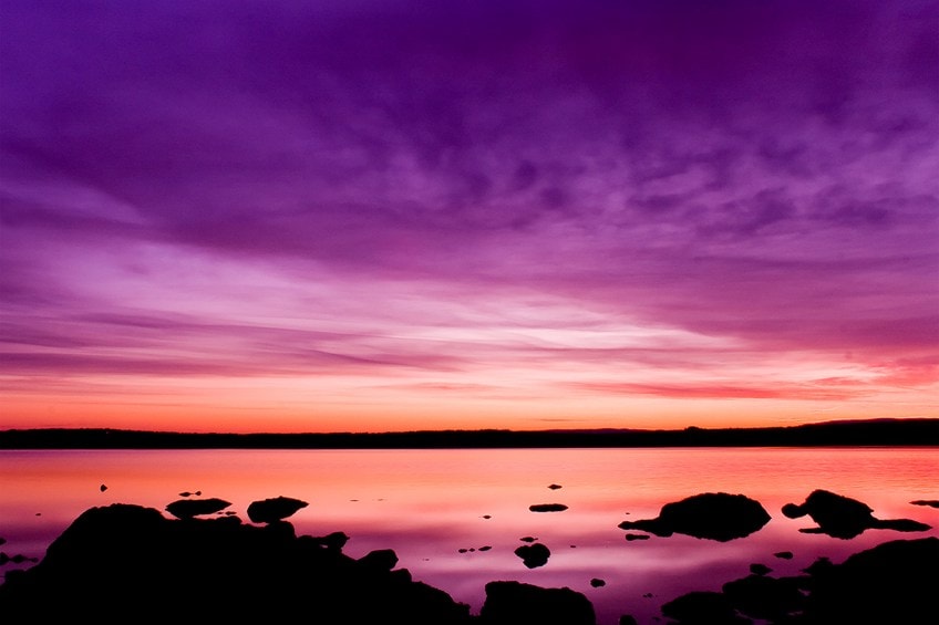 Sunset Purple Skies