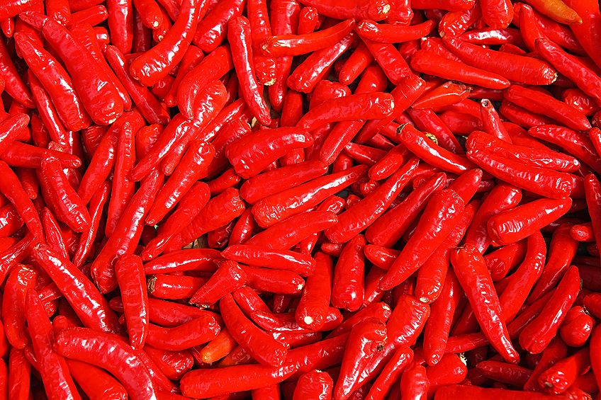 Bright Red Color Chili