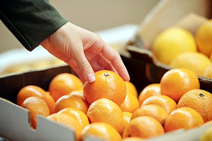 Tangerine Shade of Orange