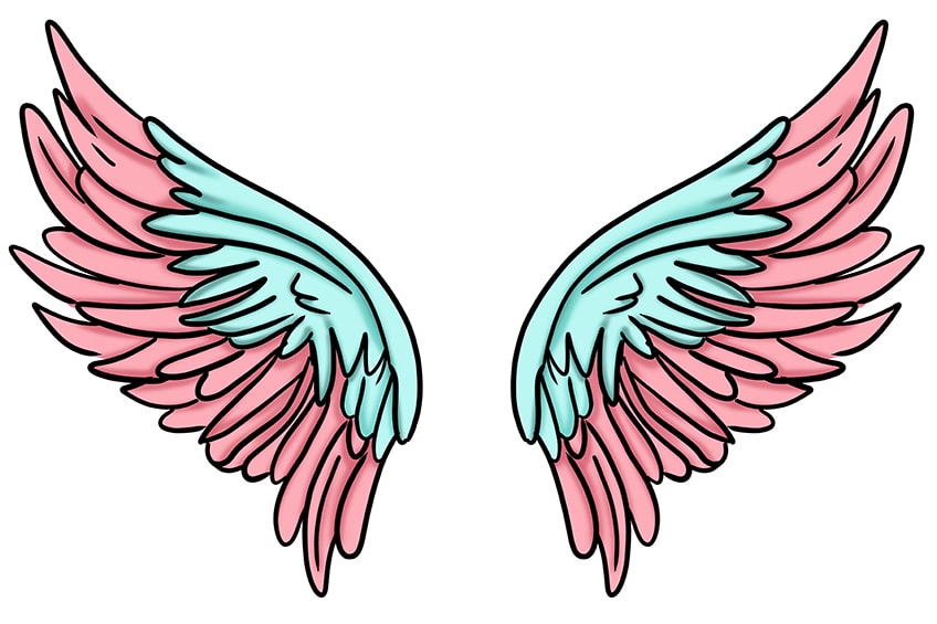 Drawing of Wings 13