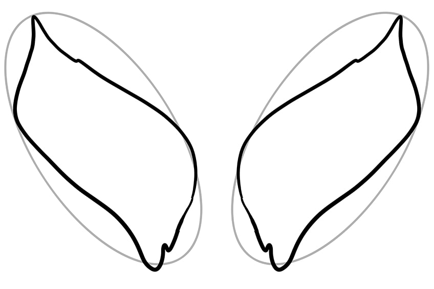 How to Draw Wings 02